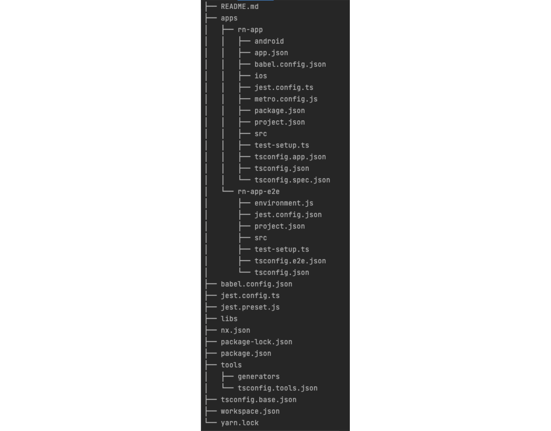 The project's directories structure