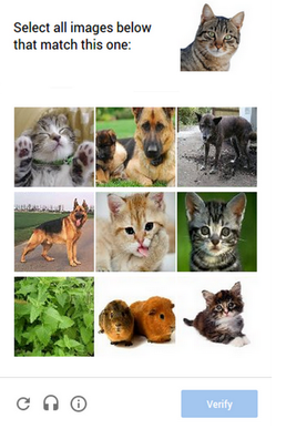 captcha-img-example